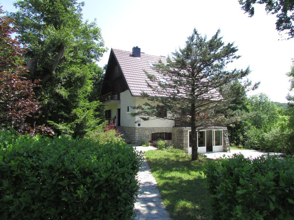 Guest House Nenad Plitvička Jezera Buitenkant foto